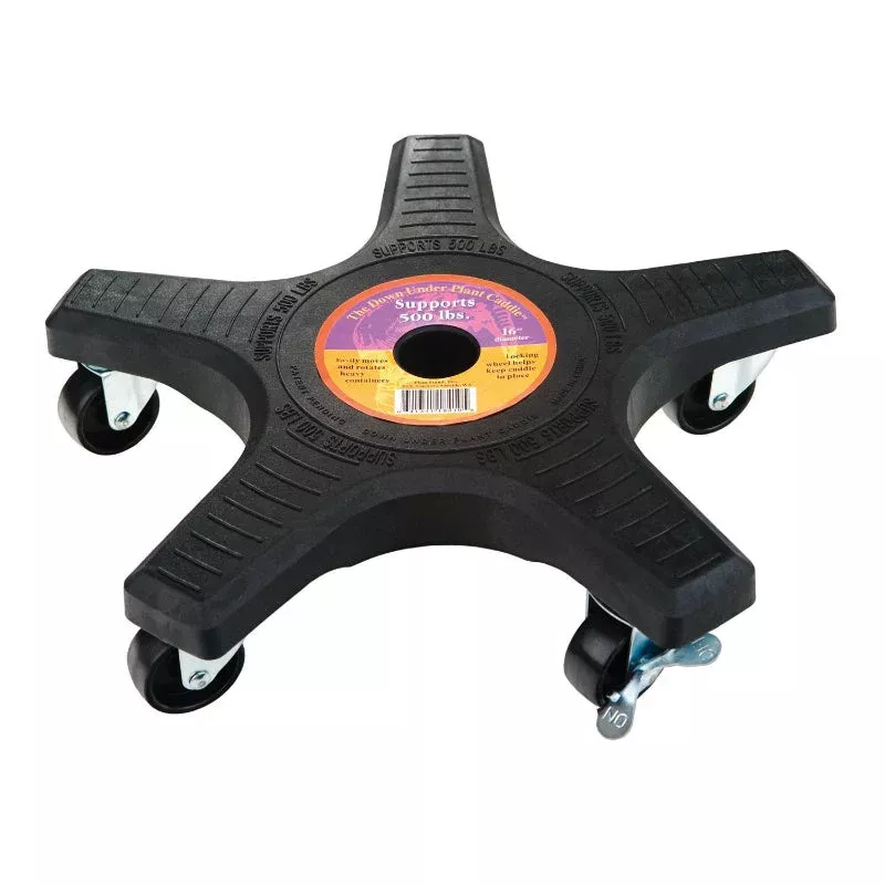 Down Under 16 in. Black Plant Caddy