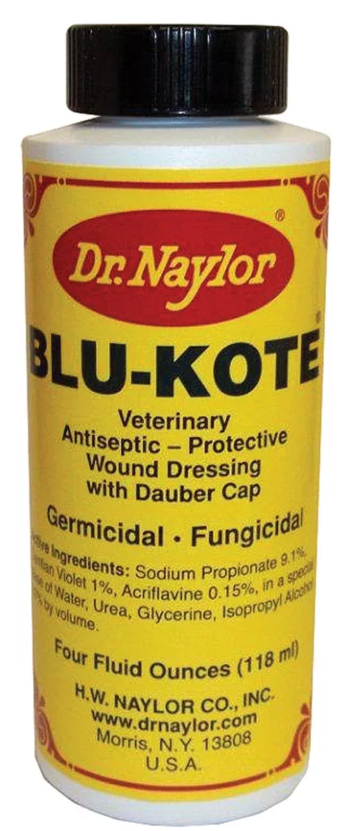 Dr. Naylor Blu Kote Antiseptic W/dauber Cap 4 OZ