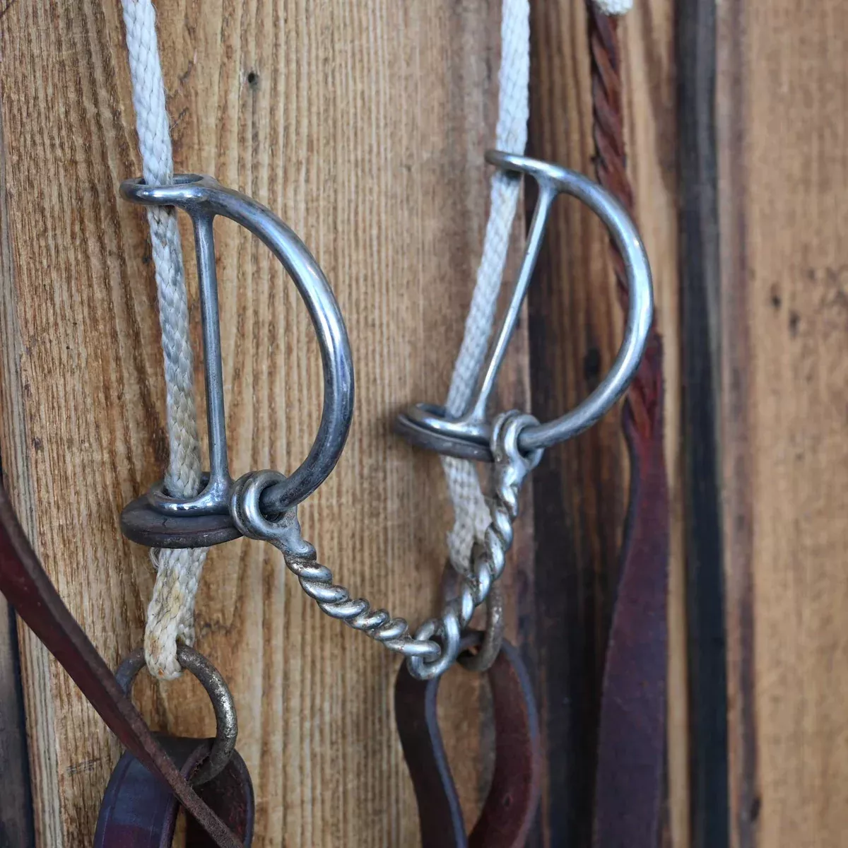 Draw Gag Twisted Wire Snaffle Bridle Rig w/Rope Reins