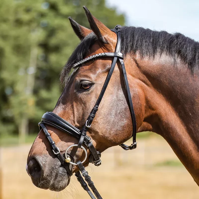Dressage Bridle Ayana