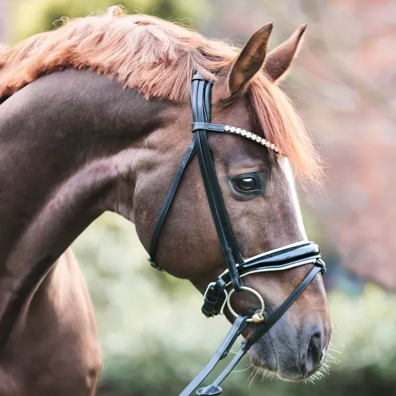Dressage Bridle Fortuna