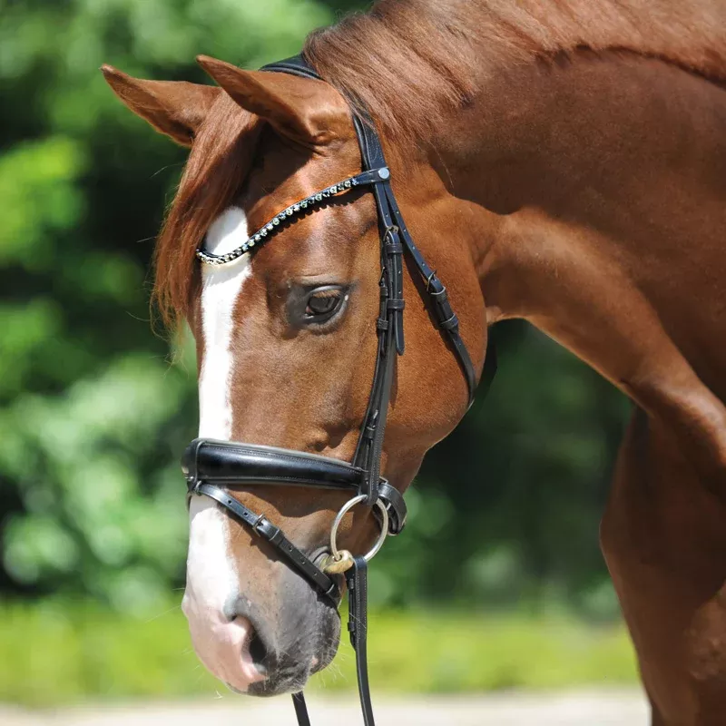 Dressage Bridle Grey