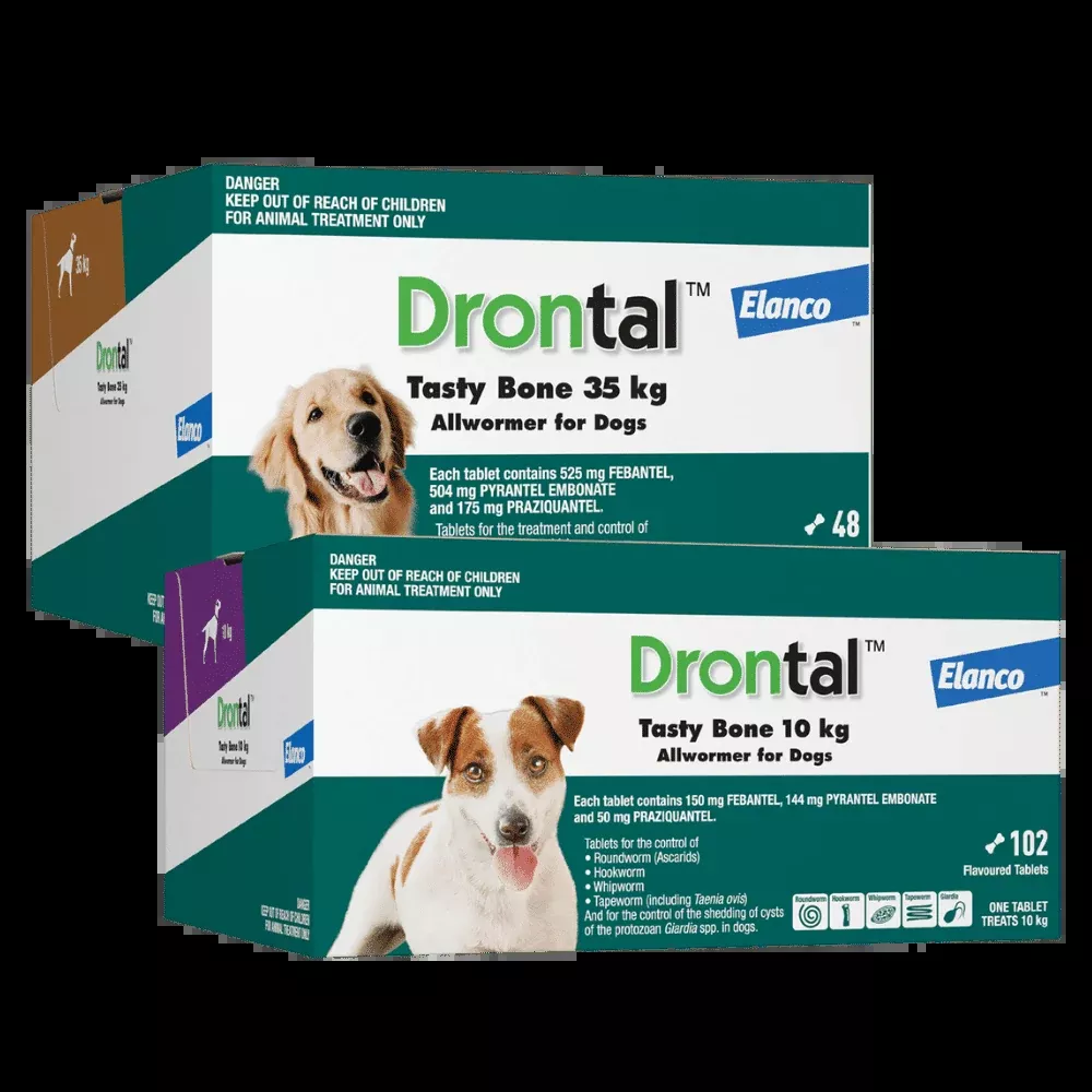 Drontal Tasty Bone Allwormer for Dogs