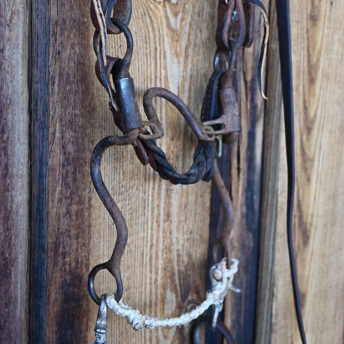 Dutton Ported Chain Bridle Rig w/Split Ear Headstall