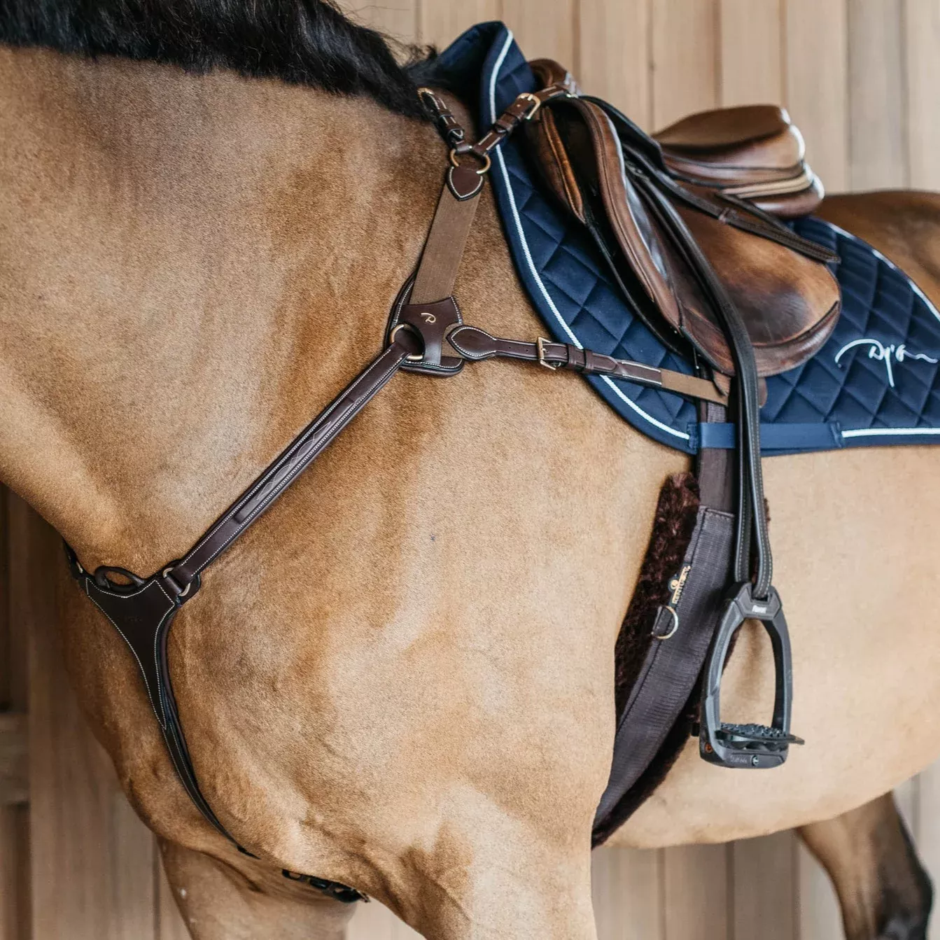 Dy'on Collection 5 Point Breastplate with Elastic