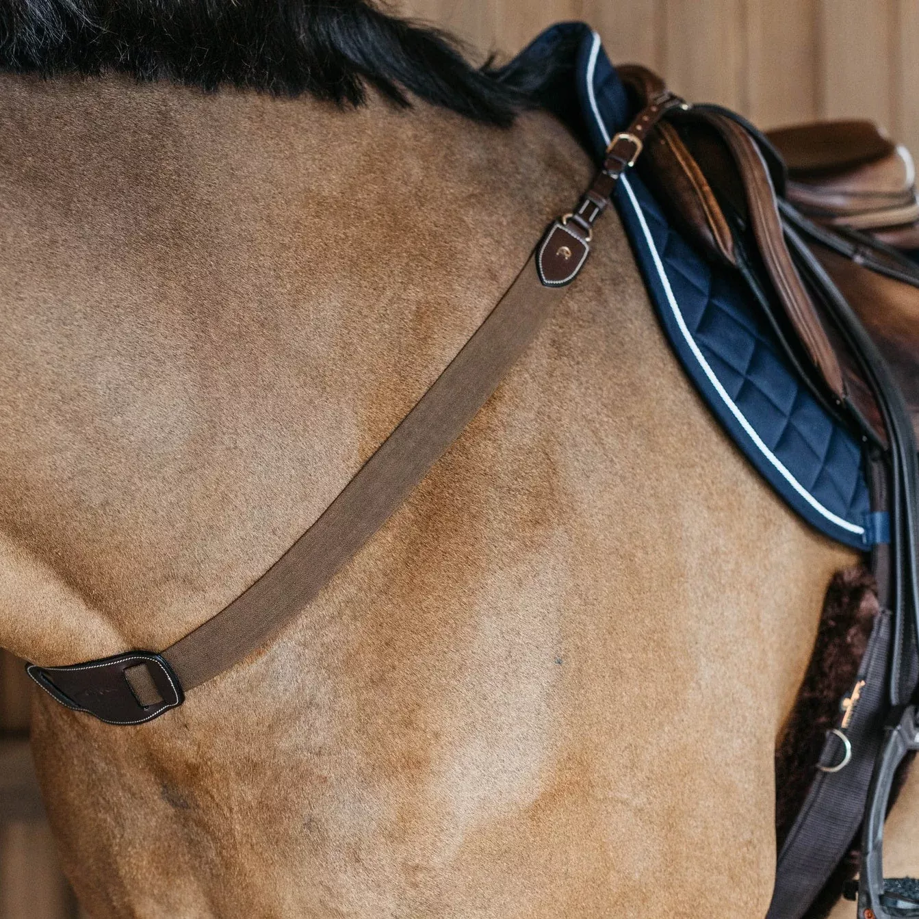 Dy'on Collection Elastic Breastplate