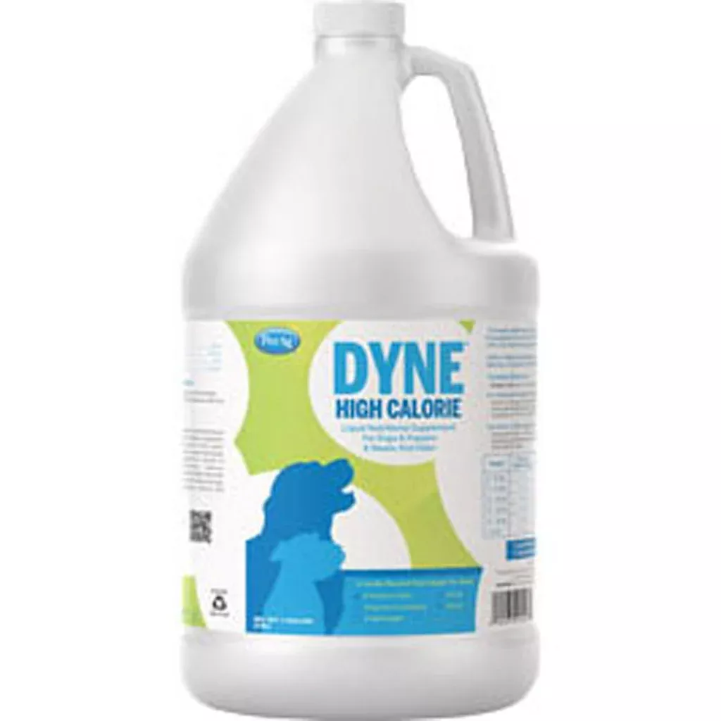 Dyne High Calorie Supplement for Dogs 1 gal