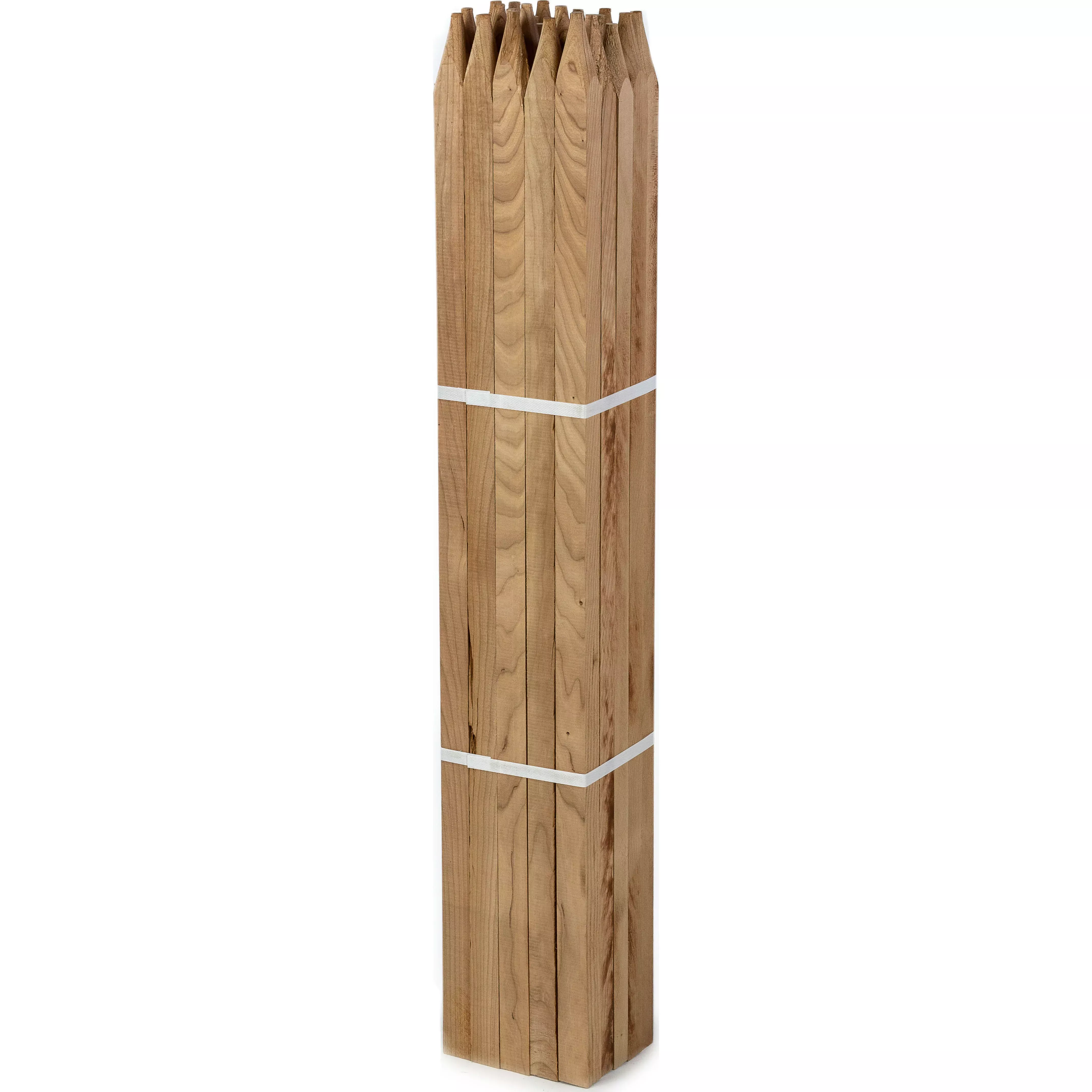 Eaton Wooden Garden Stake 5 FT Natural