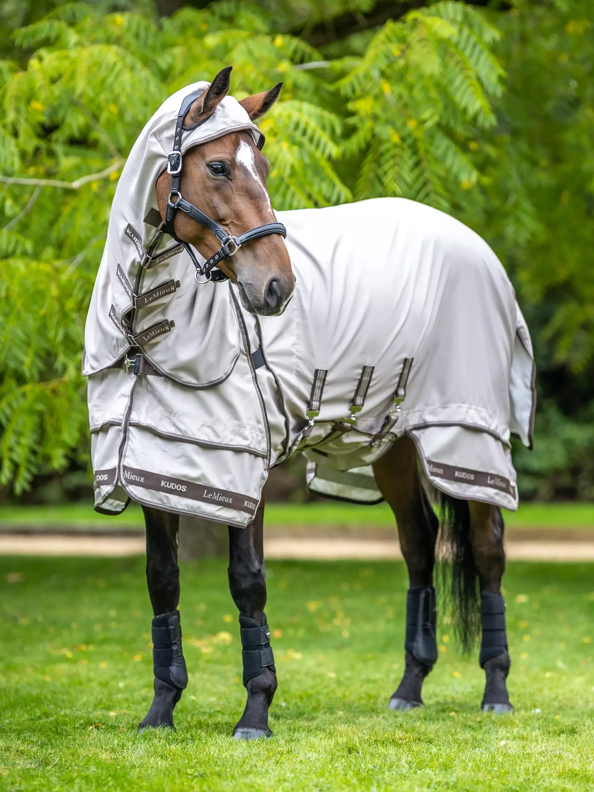 Eczema Fly Rug Kudos