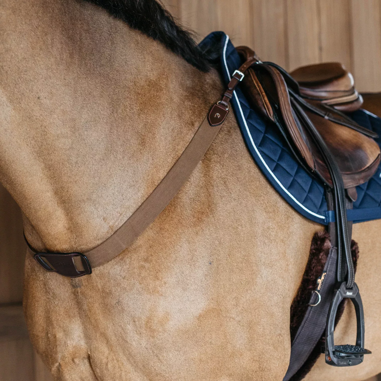 Elastic Breastplate