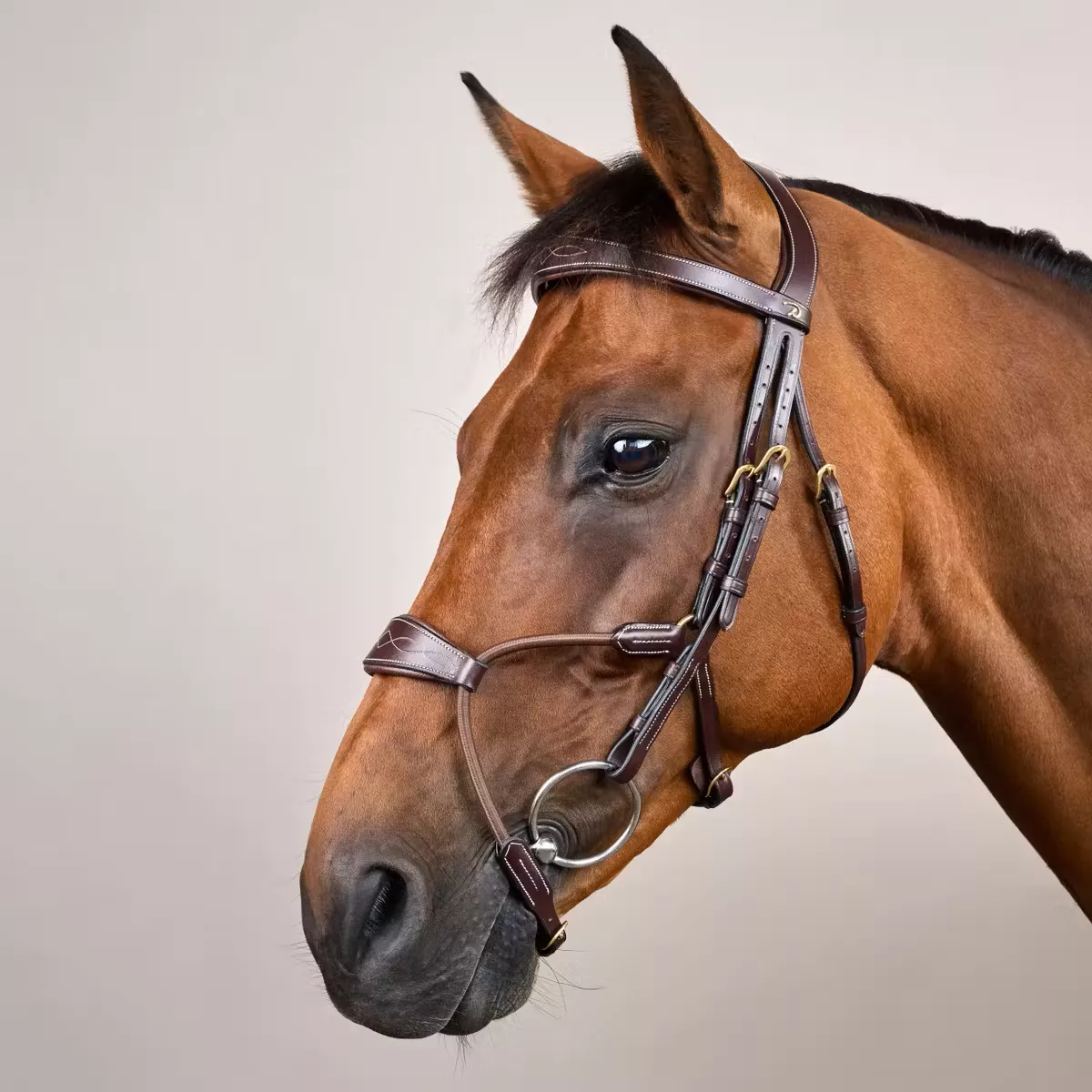 Elastic Hybrid Noseband Bridle DY