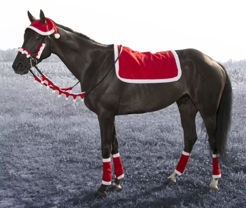 English Santa 5-Piece Set from Tough1