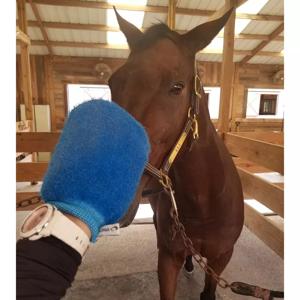 Epona All Purpose Grooming Mitt