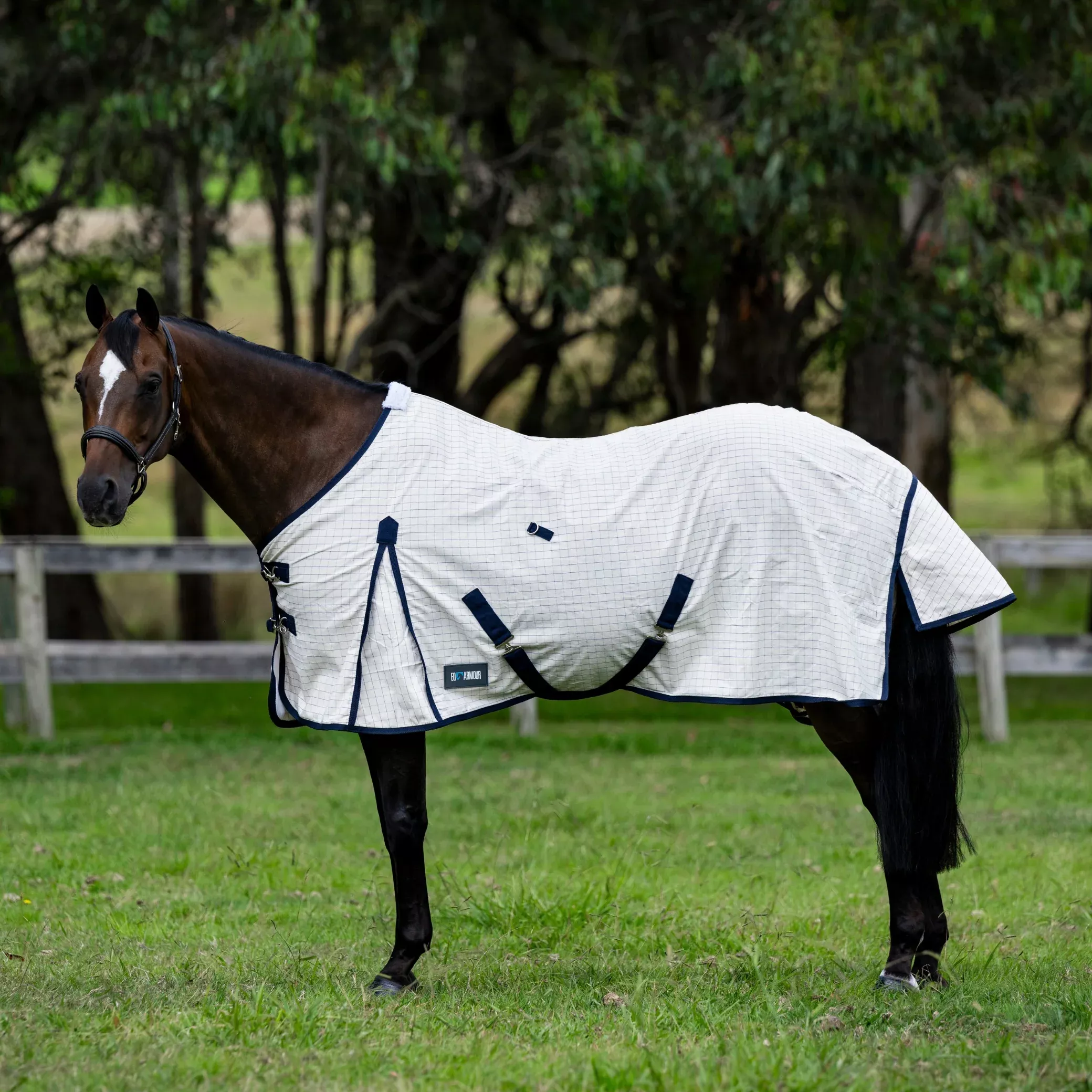 EQ Armour Ultra Rug