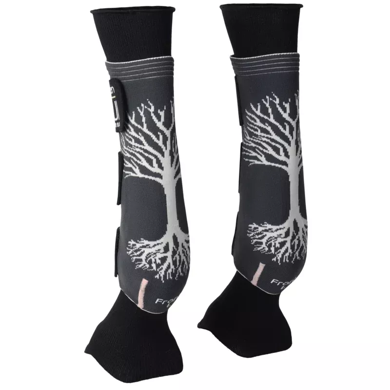 Equi Compress Set
