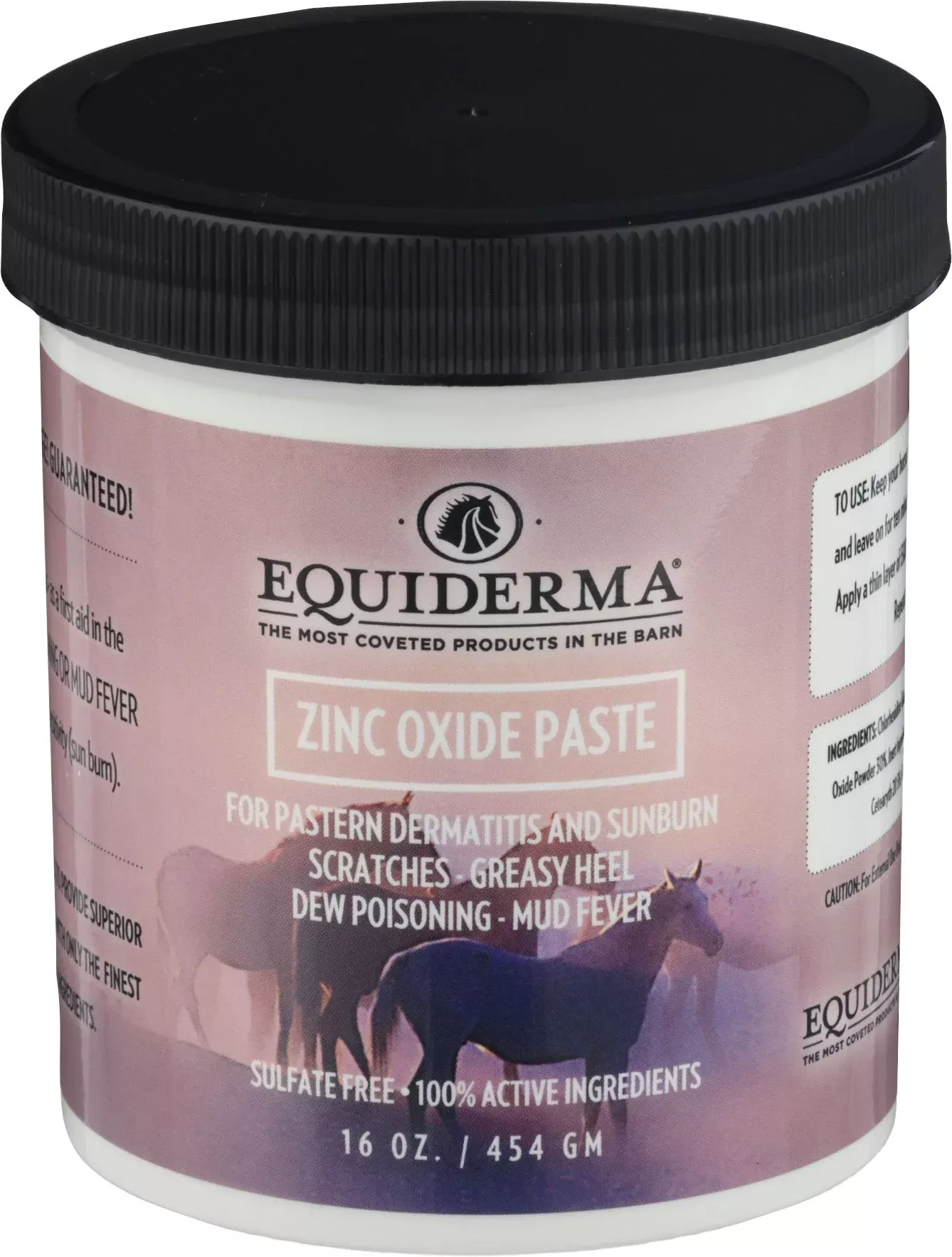 Equiderma Zinc Oxide Paste for Dermatitis & Sunburn 16 oz