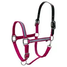 Equinavia Pegasus Breakaway Halter