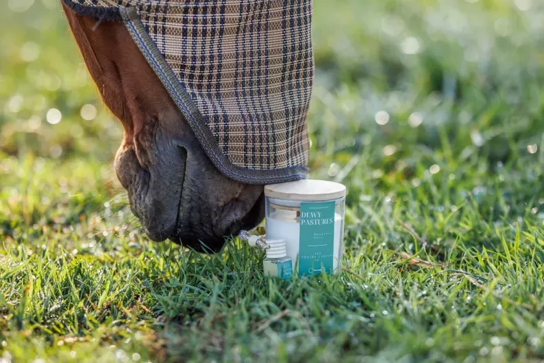 The Equine Candle Company - Dewy Pastures