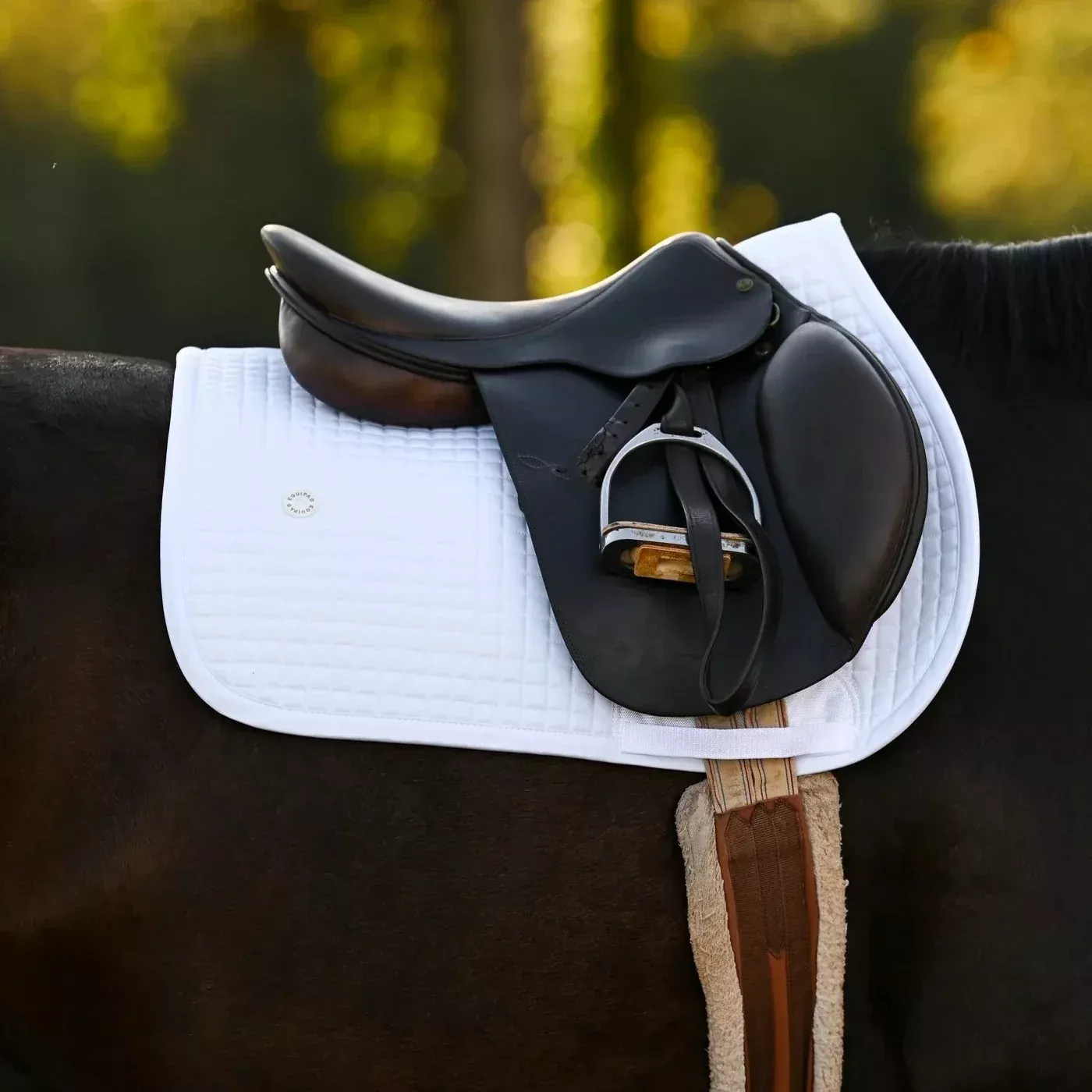 Equipad Equestrian Recycled Jump Saddle Pad