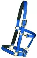 EquiStar Super Padded Comfort Breakaway Halter