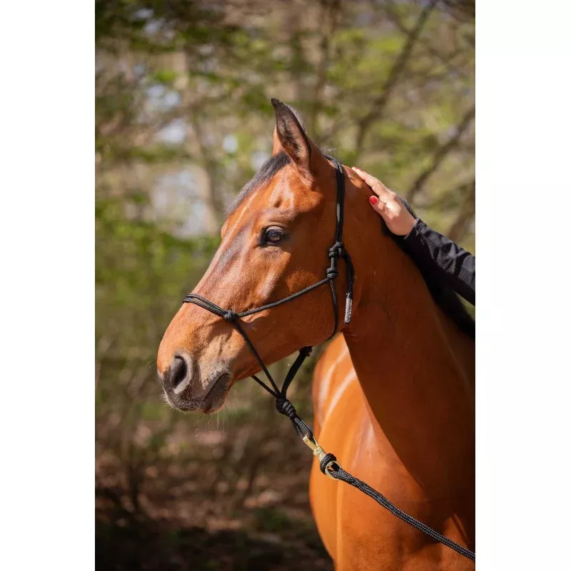 Ethological Halter