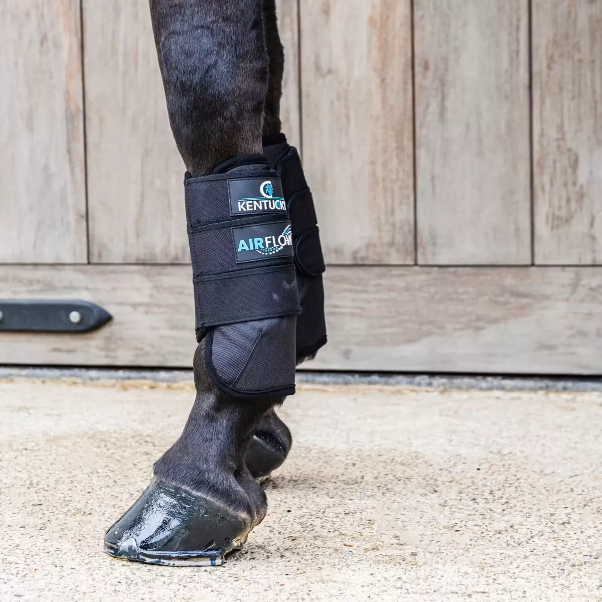Eventing Boots 3D Air Flow Front