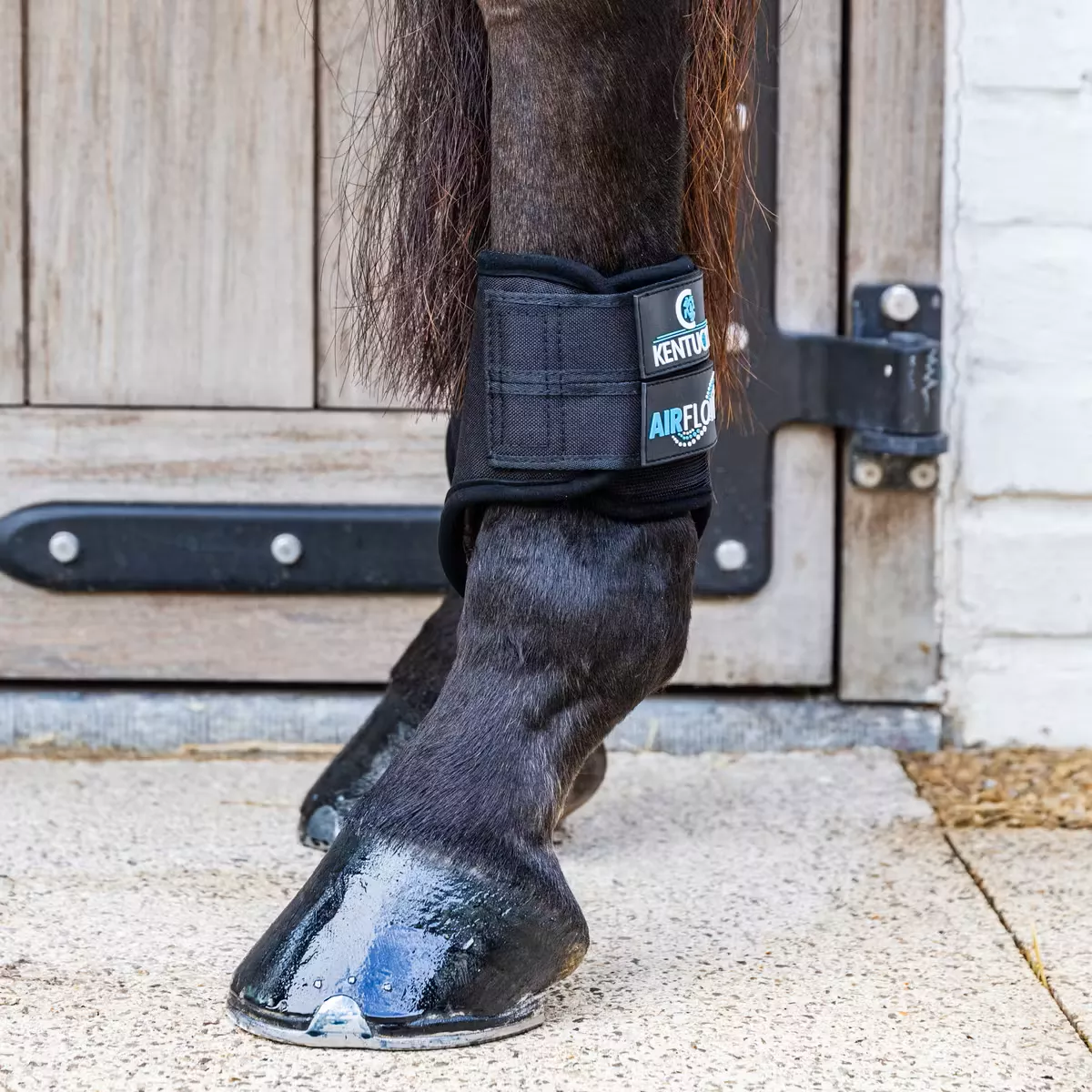 Eventing Boots 3D Air Flow Hind Short