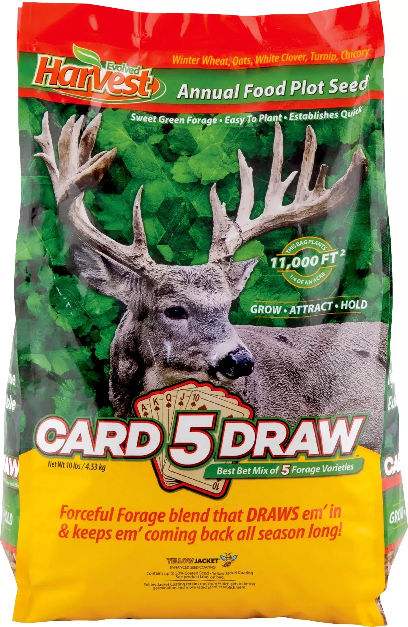 Evolved 5 Card Draw Annual Seed Plot 10 LB