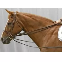 Exselle Elite Web Draw Reins