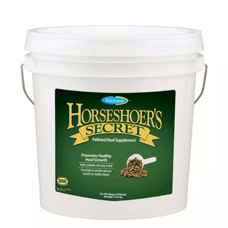 Farnam Horseshoers Secret (Original)