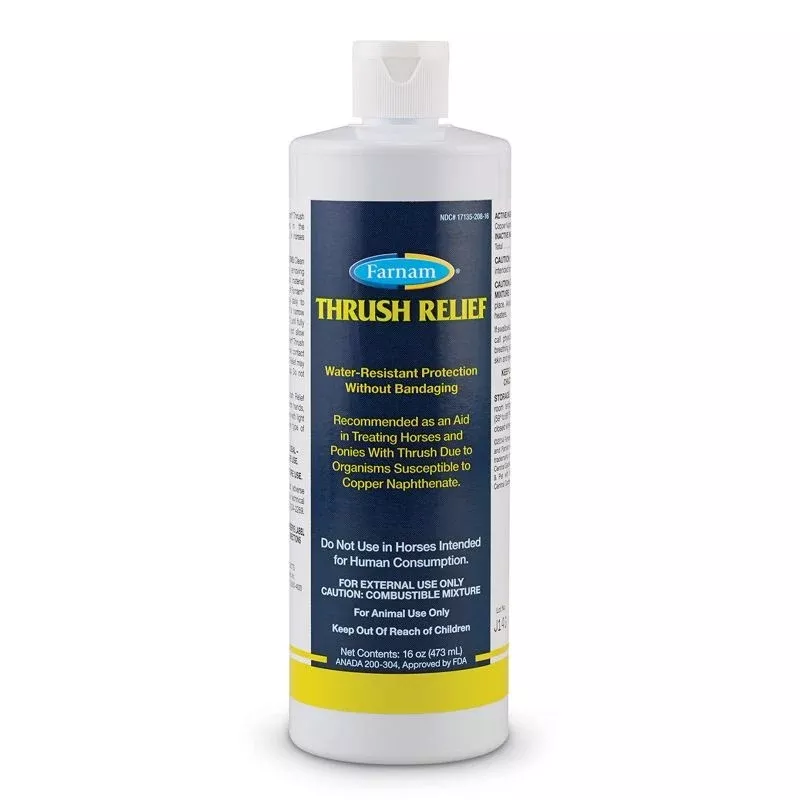 Farnam Thrush Relief