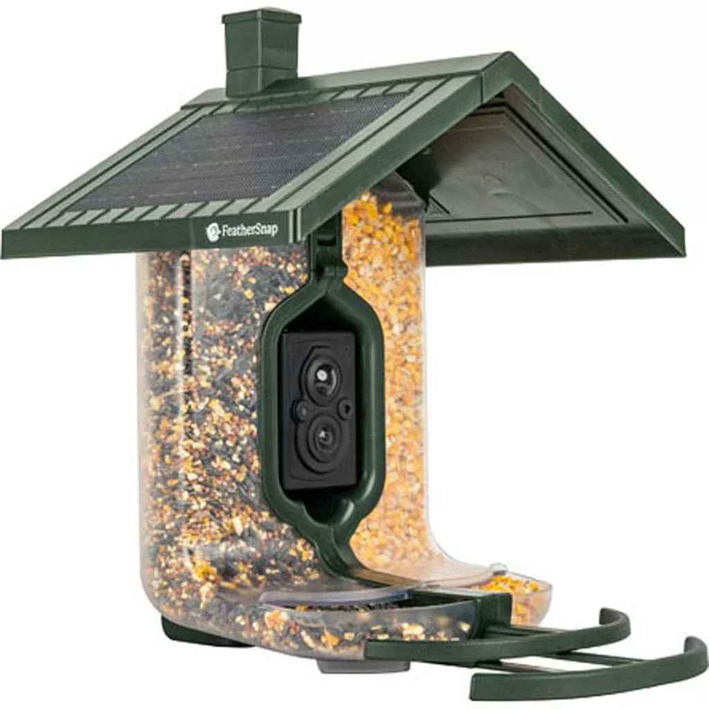 FeatherSnap Scout Smart Wild Bird Seed Feeder Green 4.2 Cup Capacity