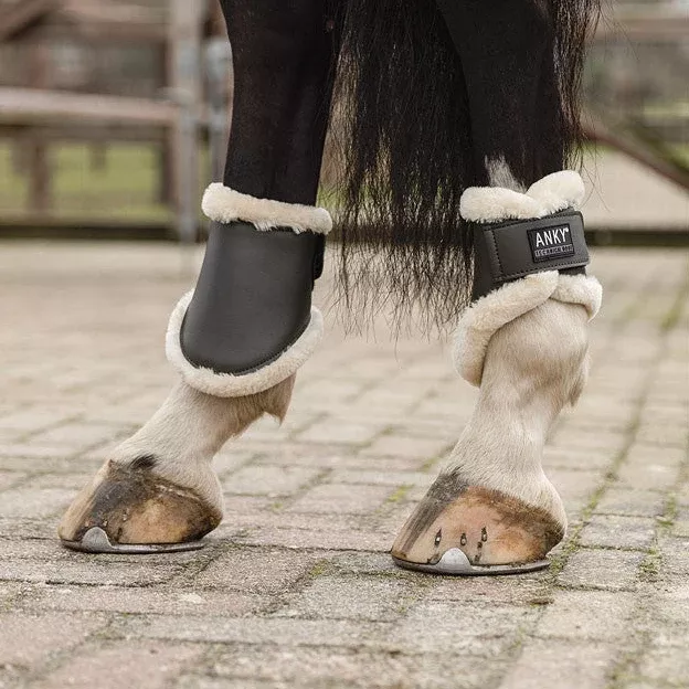 Fetlock Boots