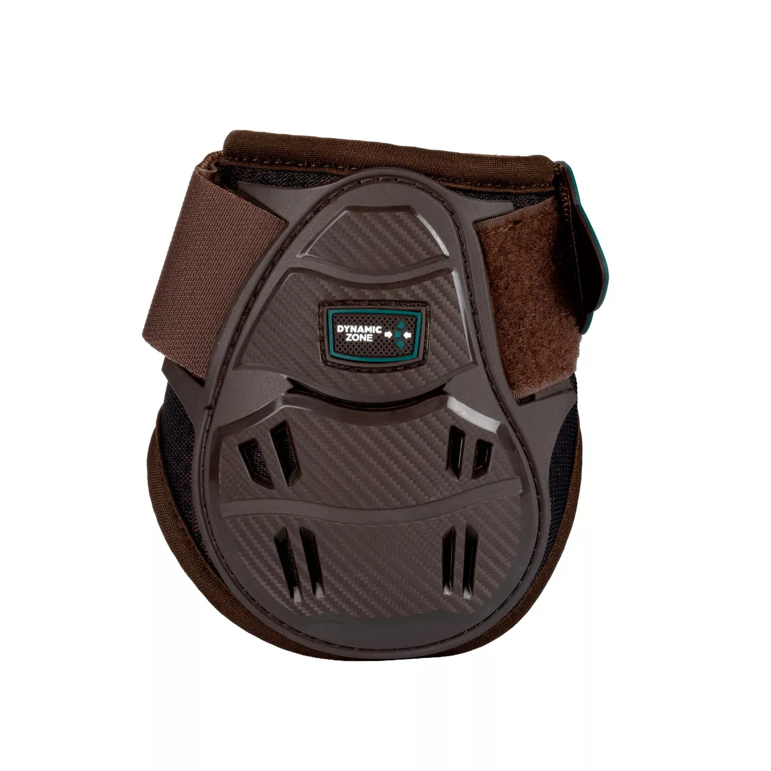 Fetlock Skeleton Dynamic Zone