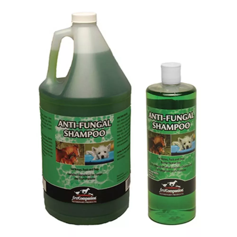 First Companion Anti Fungal Shampoo