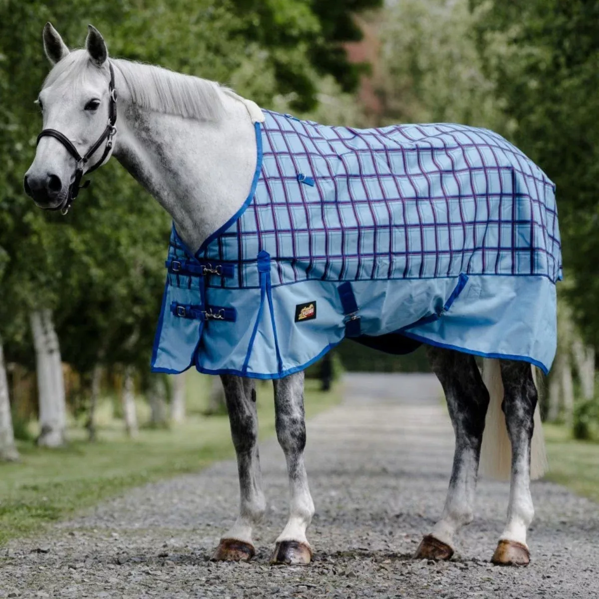 Flair Wanaka Rug 1200D