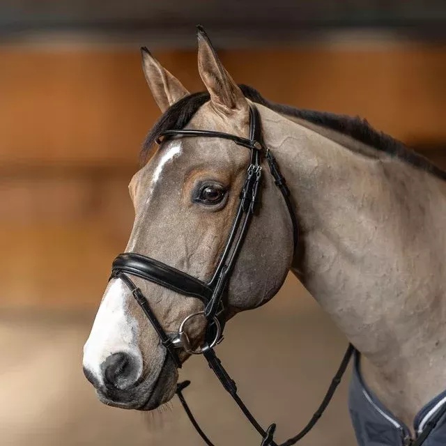Flash Noseband Bridle Round