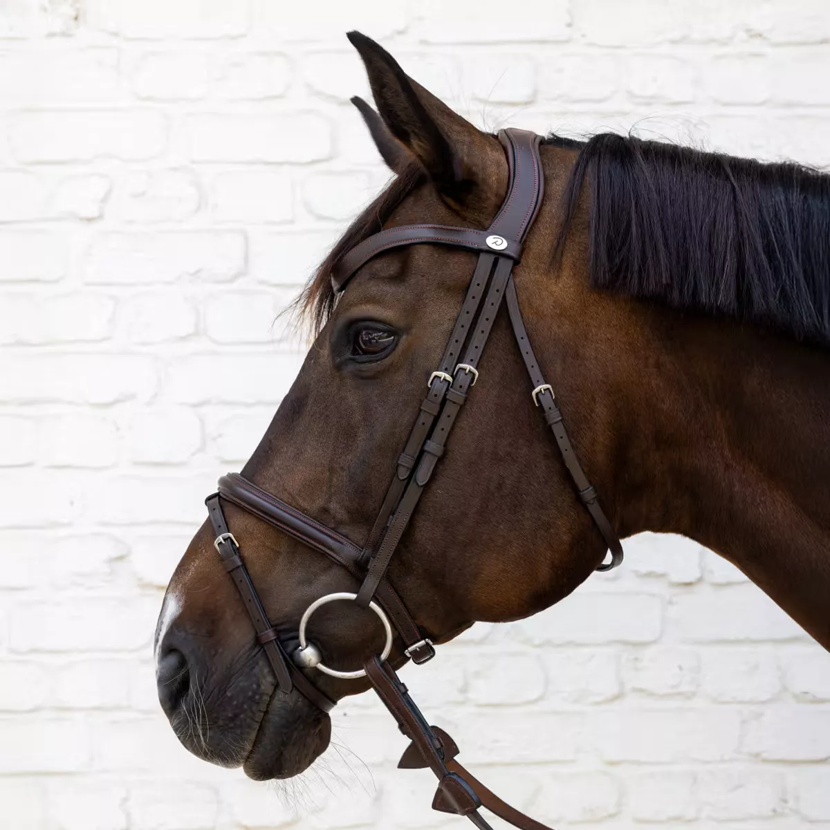 Flash Noseband Bridle Soft Leather