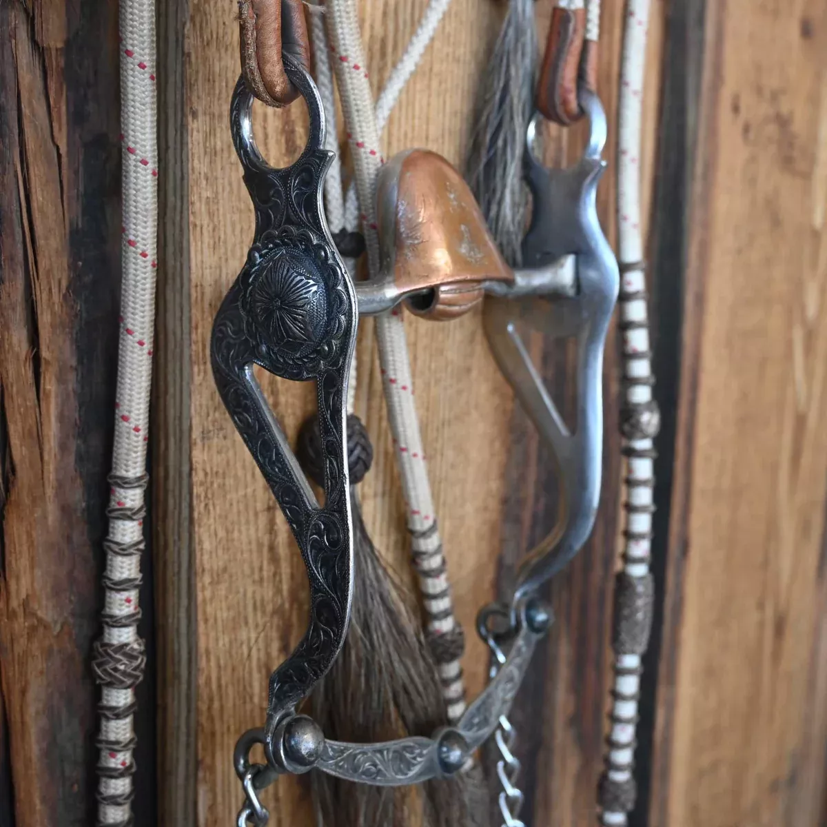 Fleming Hooded Port Bridle Rig w/Browband Headstall