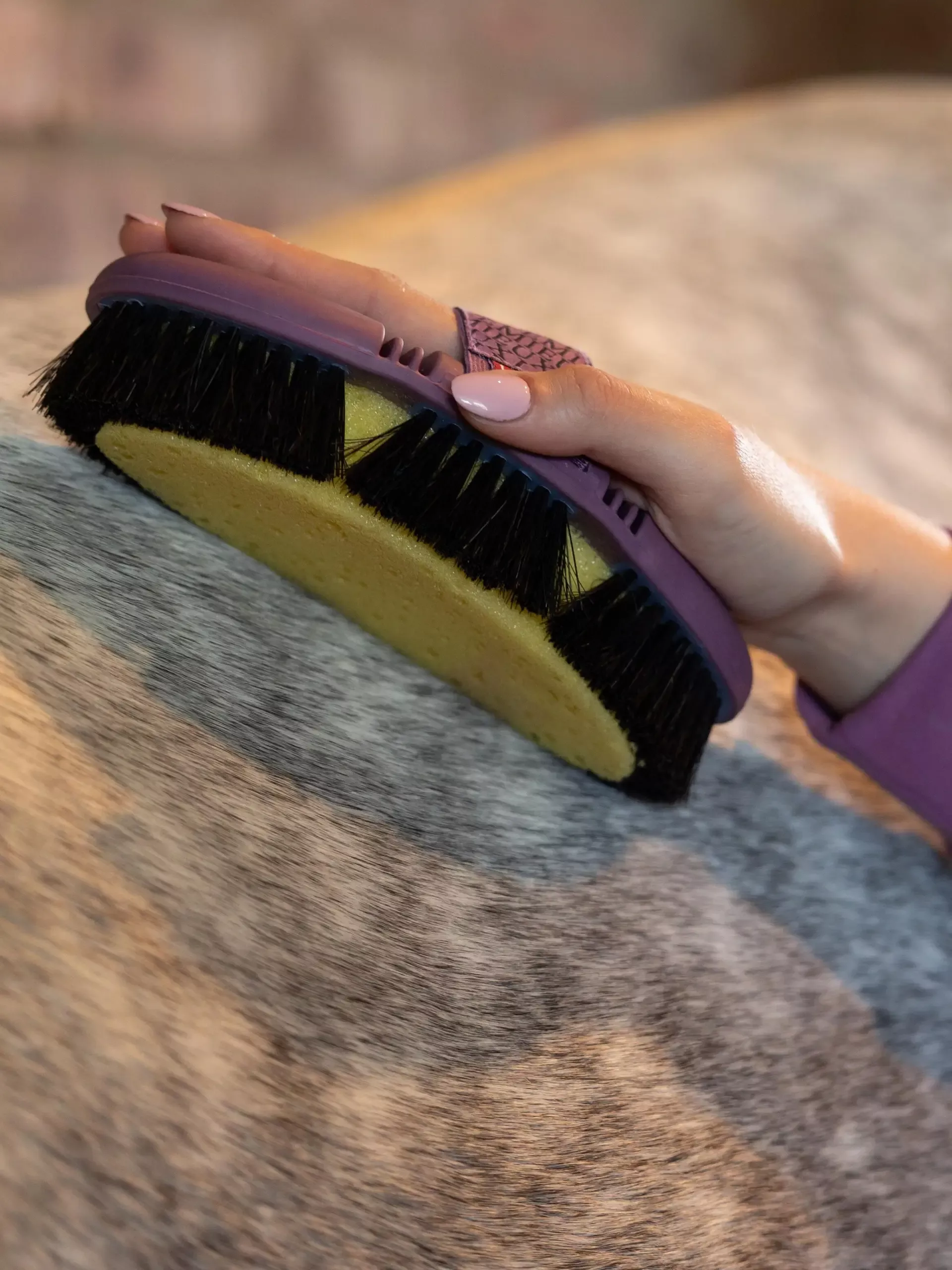 Flexi Sponge Brush