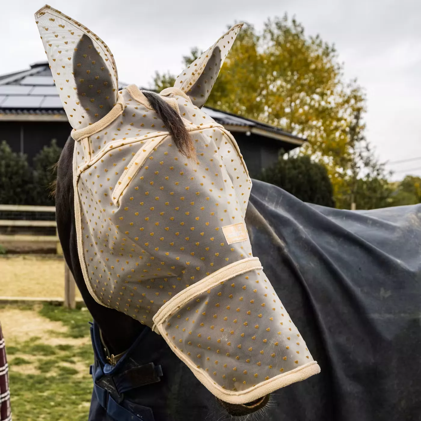 Fly Mask Heart