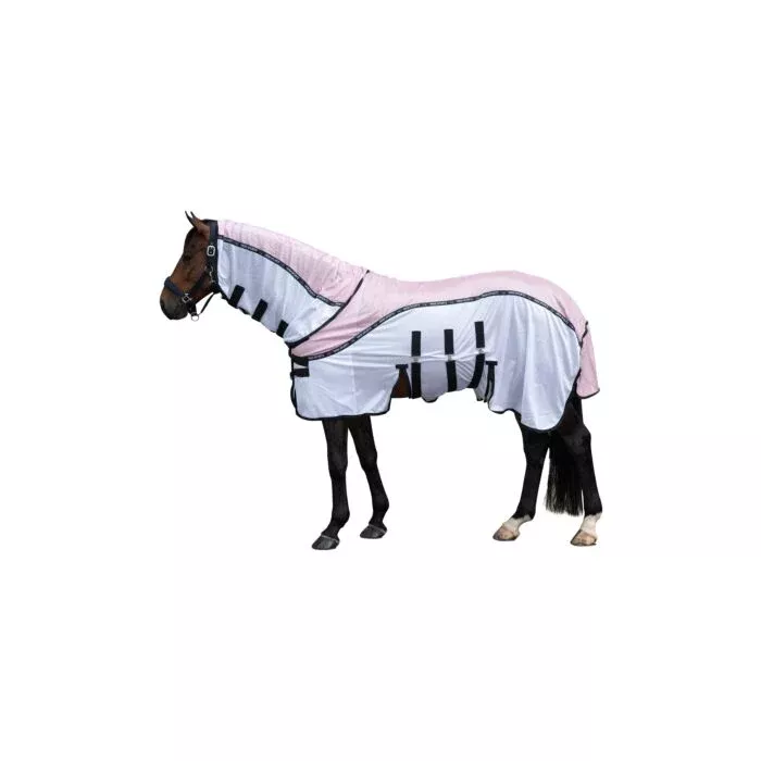 Fly Rug Light