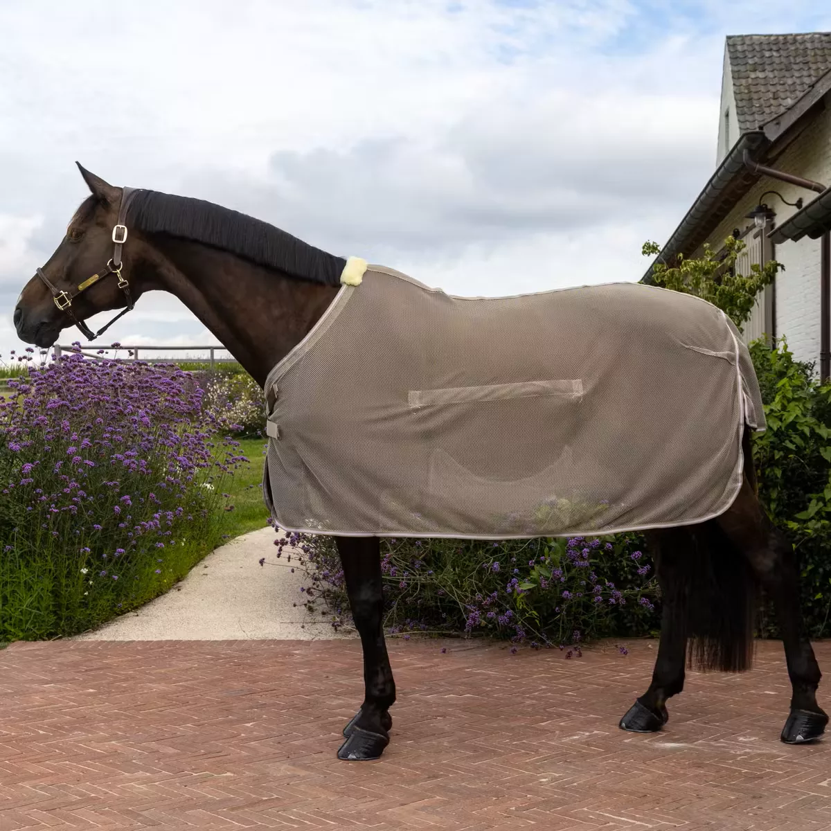 Fly Rug with Belly Cover Comfort
