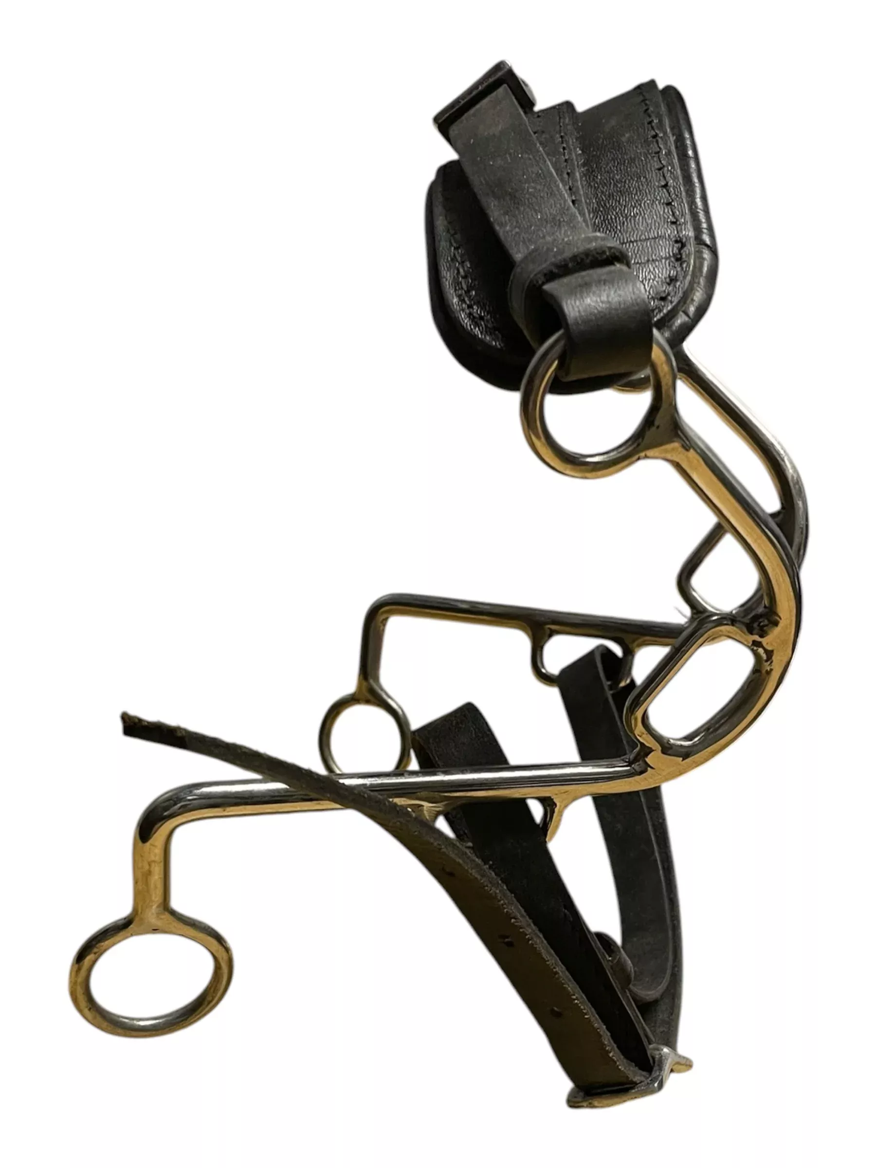 Hackamore - Black - USED