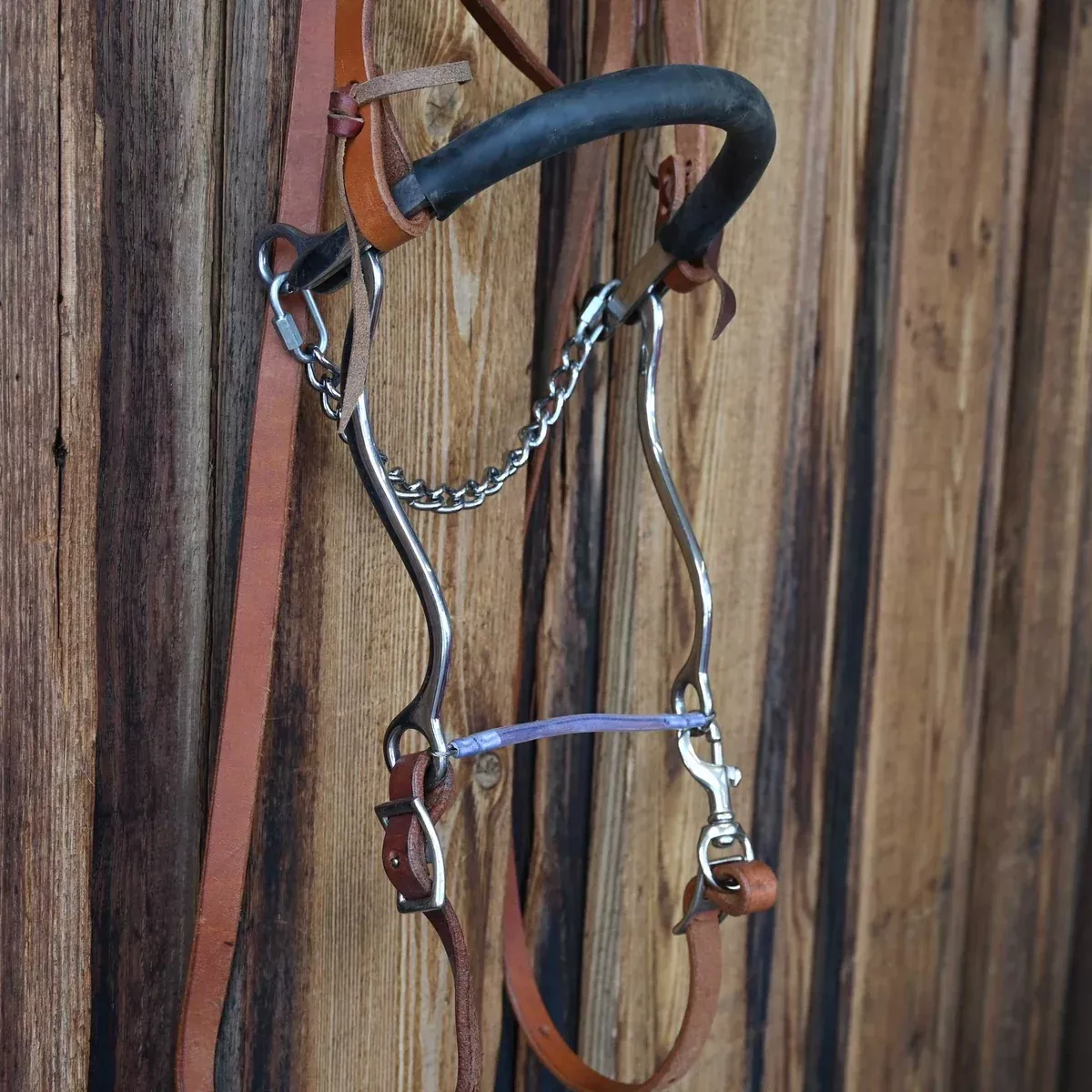 Hackamore Bridle Rig