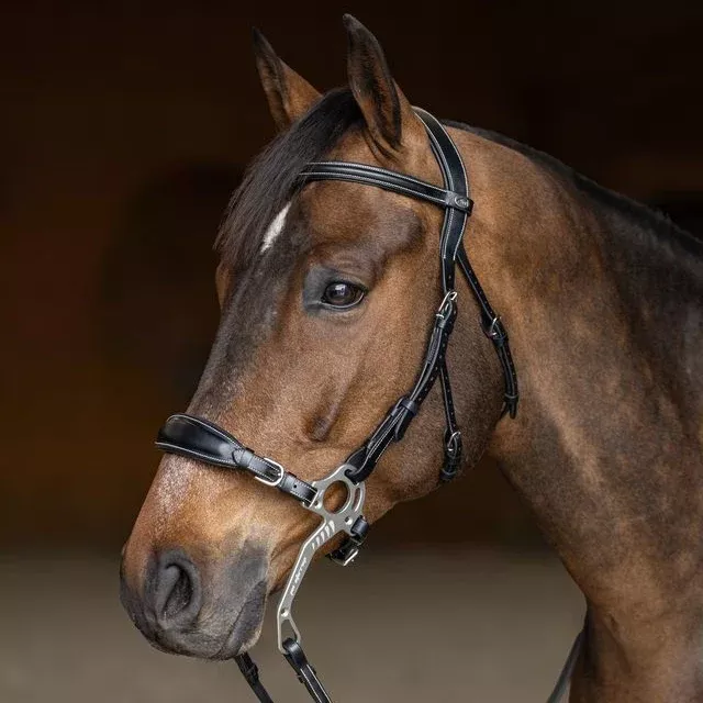 Hackamore Bridle