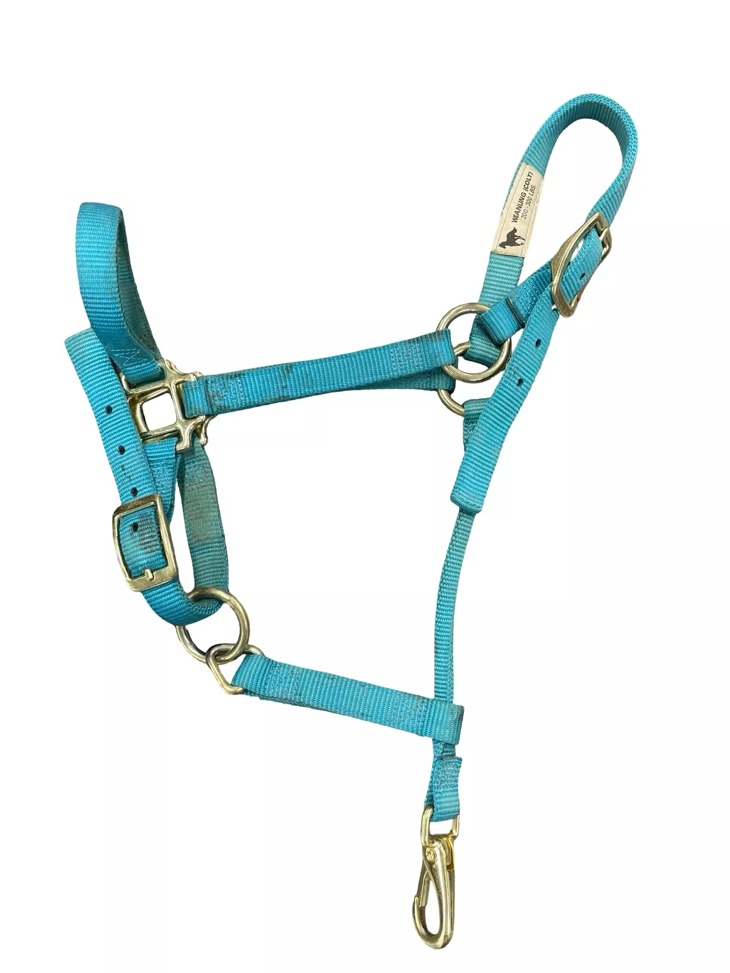Halter - Blue - Weanling (Colt) 200-300 lbs - USED