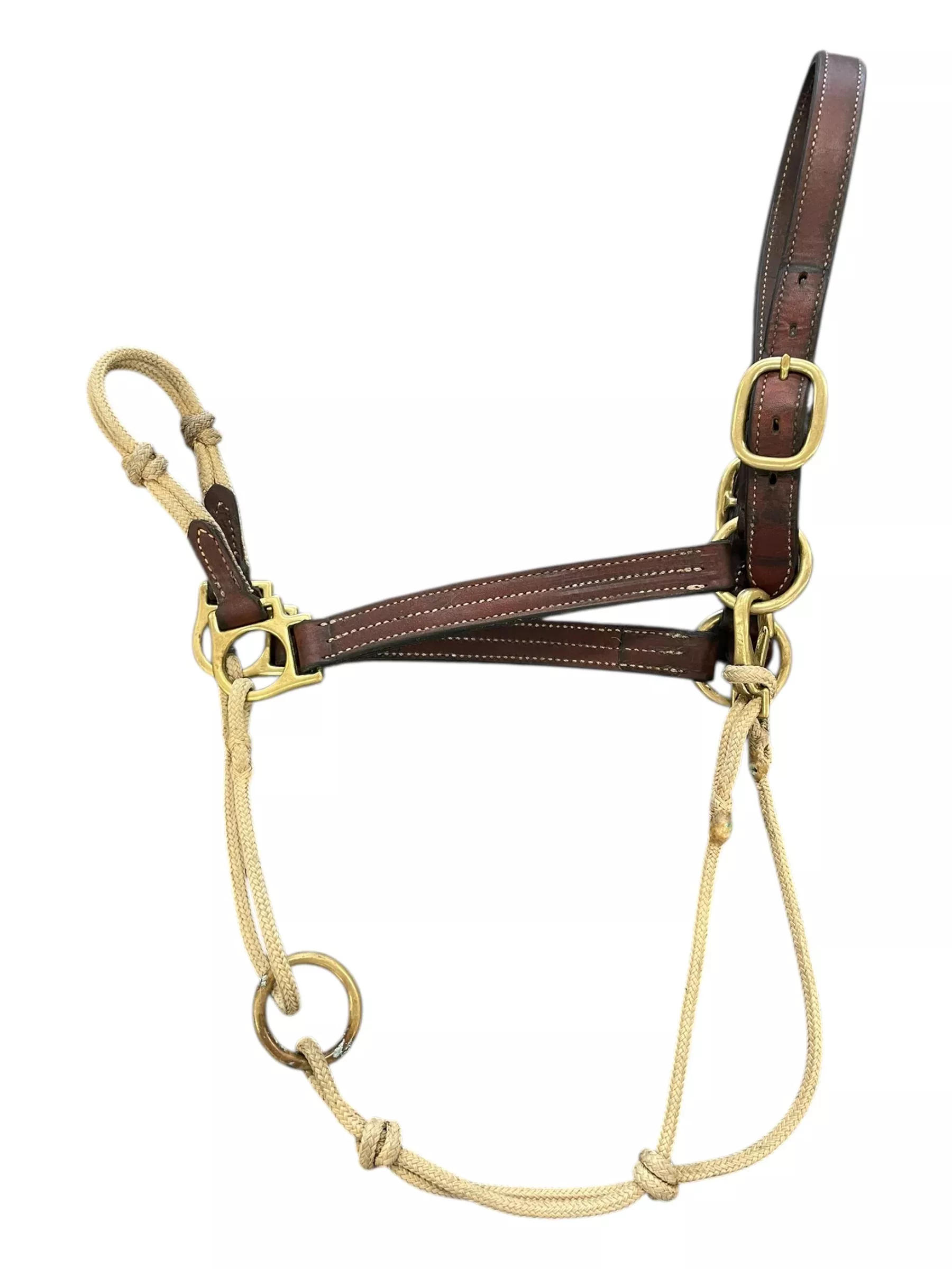Halter - Brown/Tan - Est. O/S - USED