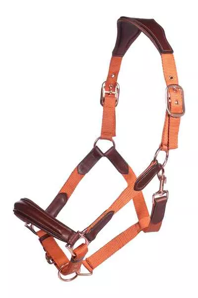 Halter Edinburgh