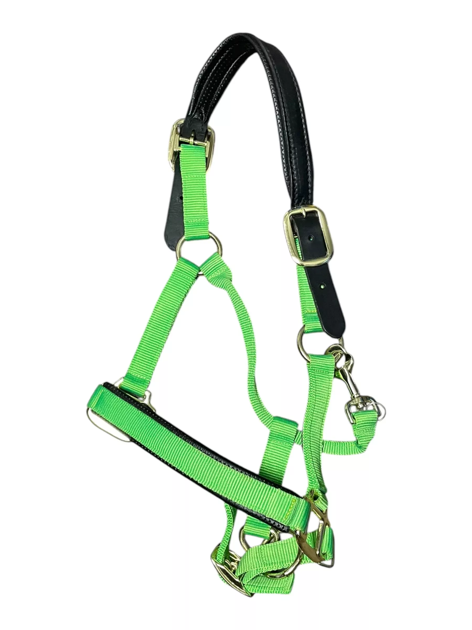 Halter - Green - Cob - USED